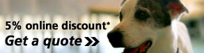 5% online discount* – get a pet insurance quote