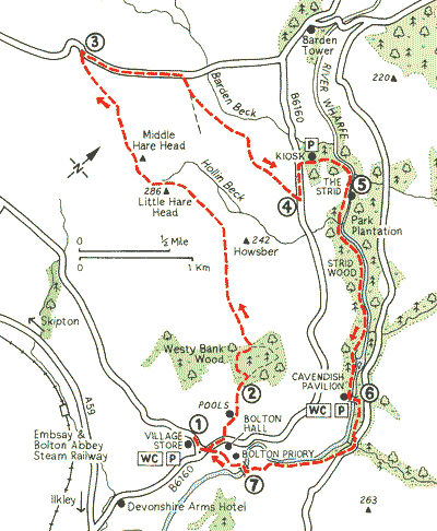 River And Woodland At Bolton Abbey - Walks - The Aa