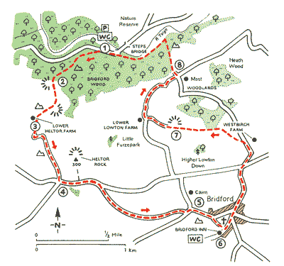 Dartmoor Outlier Above the Teign Valley Walks The