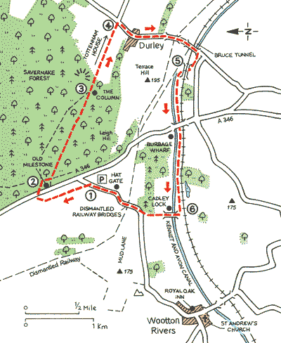 Savernake Forest Walks