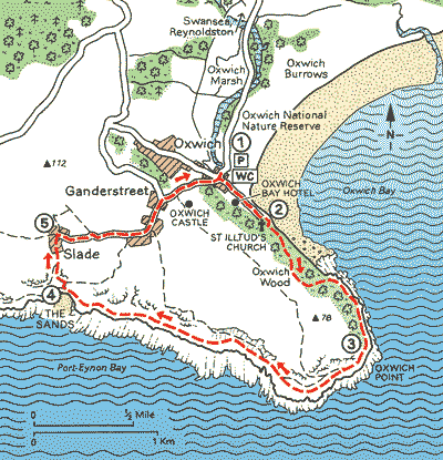 Woodland and Family Wars at Oxwich Point - Walks - The AA