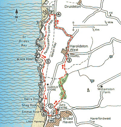 Broad Haven and the Haroldston Woods - Walks - The AA