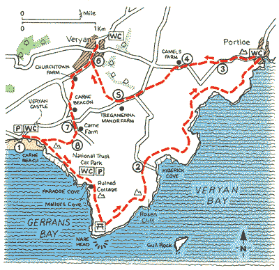 Hidden Cornwall at Nare Head - Walks - The AA