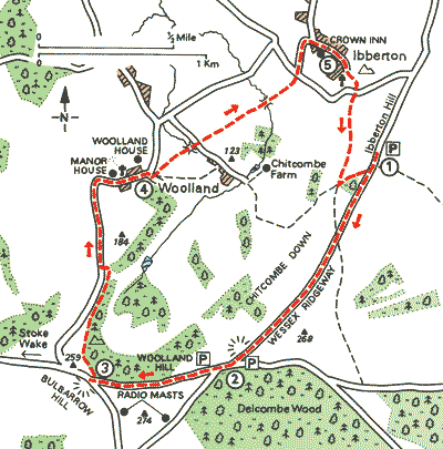 Living on the Edge at Ibberton - Walks - The AA