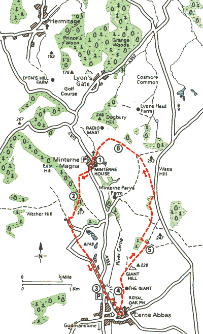 Giant Steps to Cerne Abbas - Walks - The AA