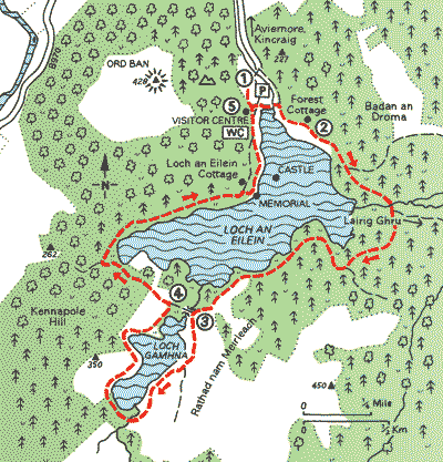 Loch an Eilein's Castle and Ord Ban - Walks - The AA