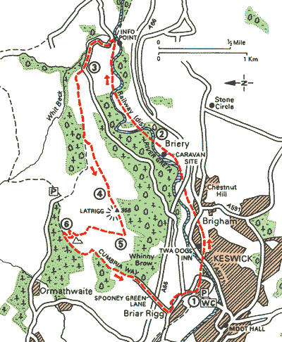 Taking the Line to Latrigg - Walks - The AA