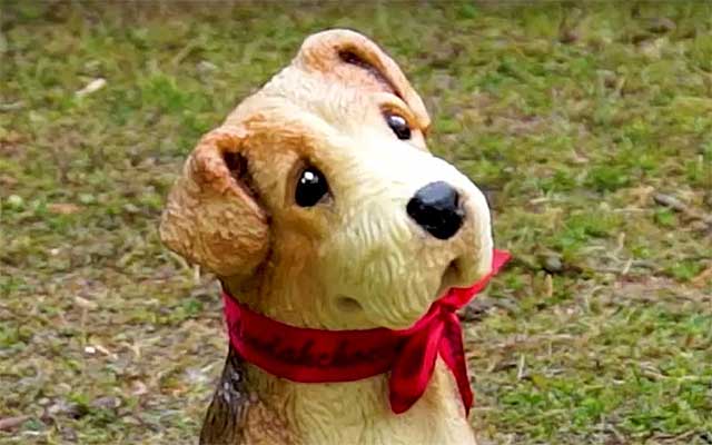 Chocolate dog 640