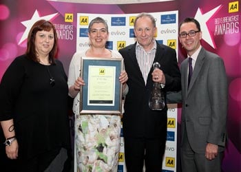 The AA B&B Awards 2013