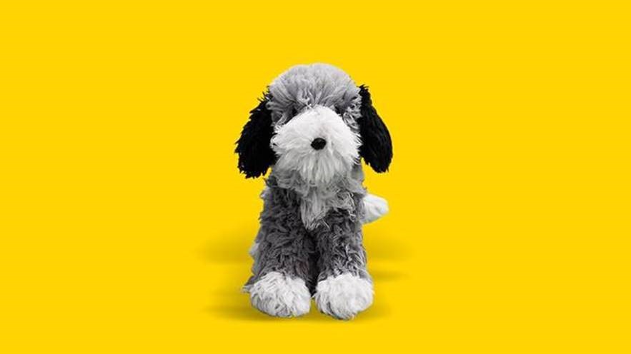 aa dog soft toy