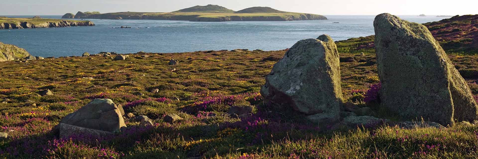 Pembrokeshire Coast National Park