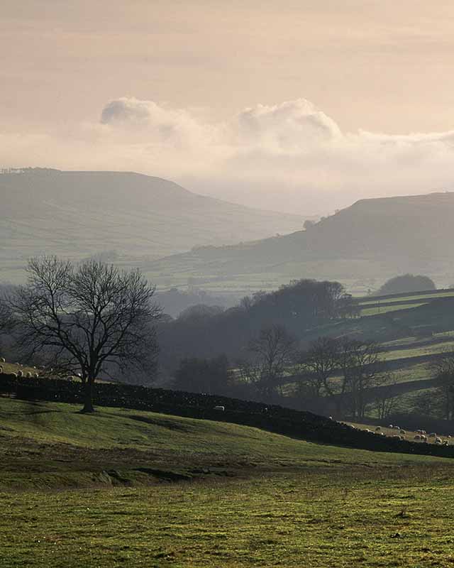 North Yorkshire