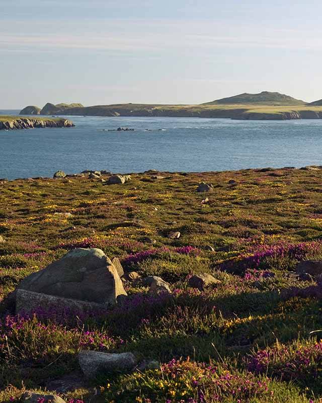 Pembrokeshire Coast National Park